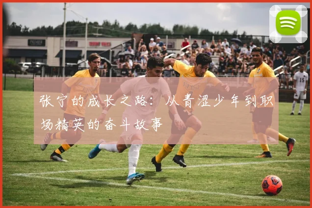 张宁的成长之路：从青涩少年到职场精英的奋斗故事