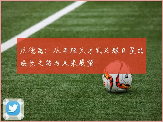 厄德高：从年轻天才到足球巨星的成长之路与未来展望