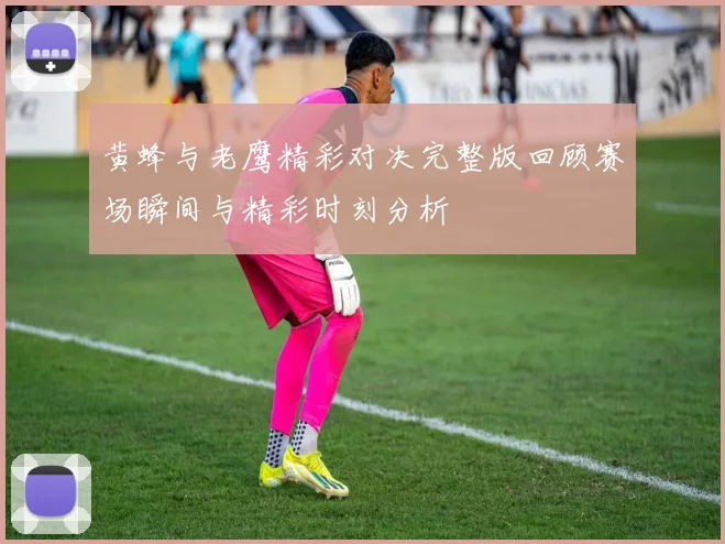 黄蜂与老鹰精彩对决完整版回顾赛场瞬间与精彩时刻分析