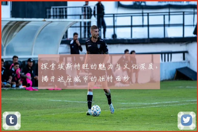 探索埃斯特旺的魅力与文化深度，揭开这座城市的独特面纱